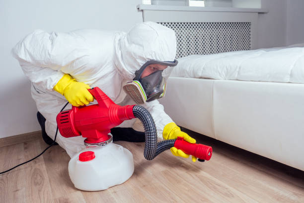 Best Residential Pest Control  in Akwesasne, NY